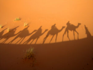Bunte Wüste: Der Wadi al-Gimal Nationalpark