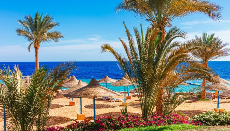 Rotes Meer in Sharm el-Sheikh