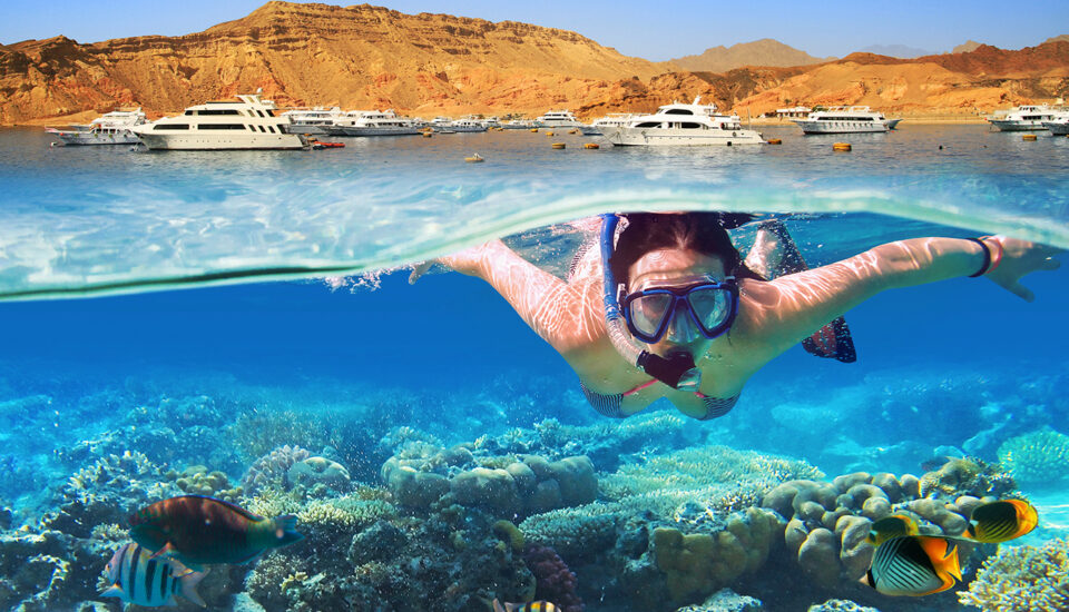 Tauchen im Roten Meer